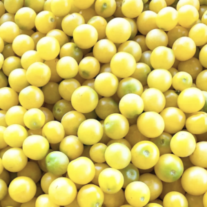 White Cherry Tomato